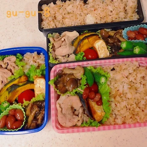 今日のお仕事＆部活＆留守番弁当♪|ぐぅさん