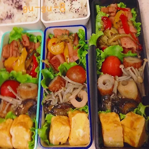 今日のお仕事＆学校弁当♪|ぐぅさん