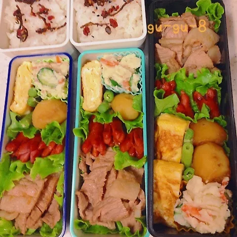 今日のお仕事＆学校弁当♪|ぐぅさん