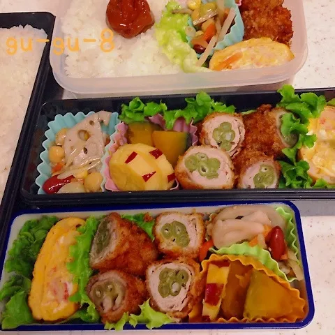 今日のお仕事＆家弁当♪|ぐぅさん