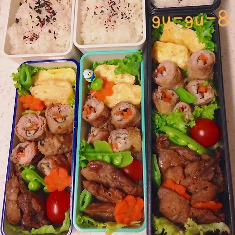 今日のお仕事＆学校弁当♪|ぐぅさん