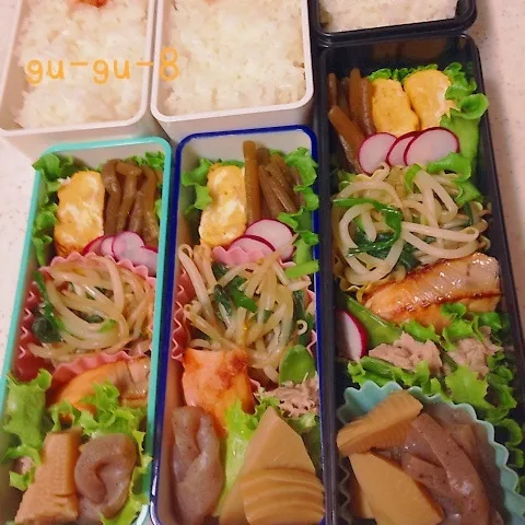 今日のお仕事＆学校弁当♪|ぐぅさん