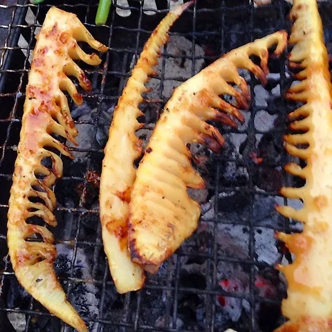 素材の味♪筍の網焼き|ぐぅさん