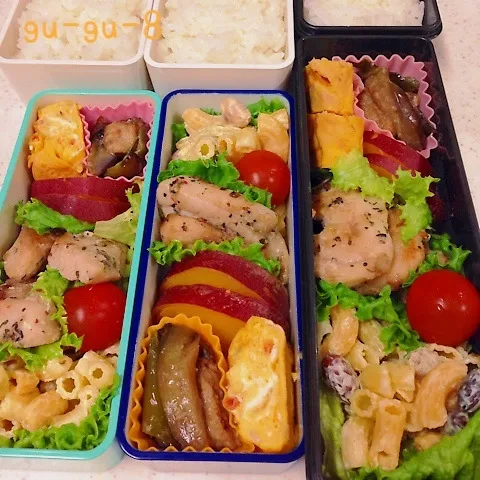 今日のお仕事＆学校弁当♪|ぐぅさん