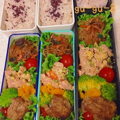 今日のお仕事＆学校弁当♪|ぐぅさん