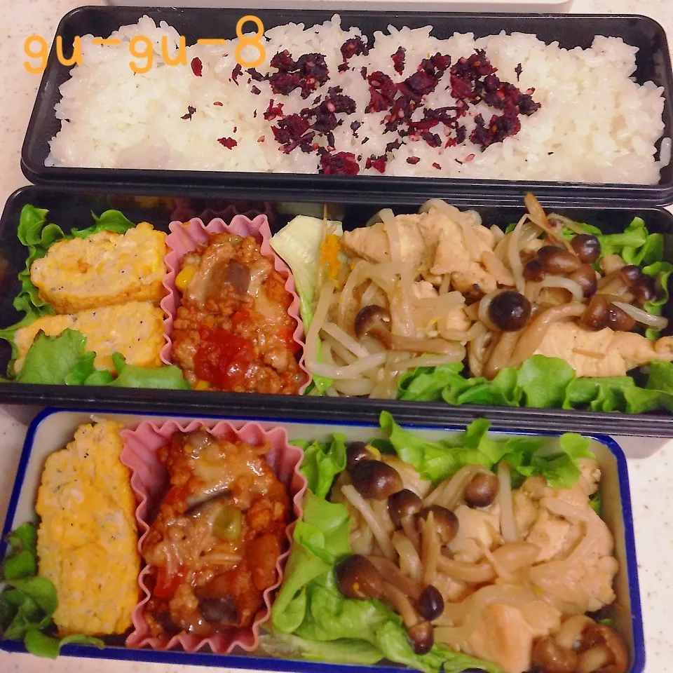 今日のお仕事弁当♪|ぐぅさん