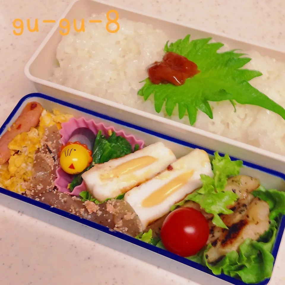 今日のお仕事弁当♪(明太こんにゃくがオススメ！)|ぐぅさん