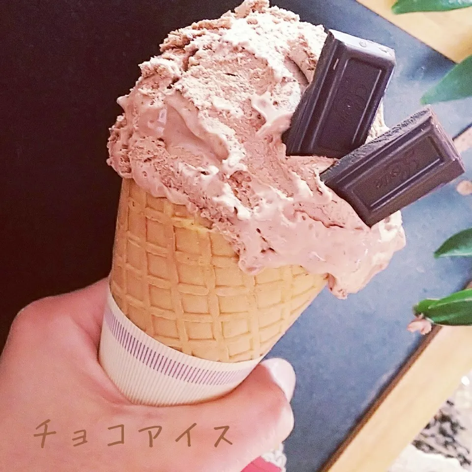 Snapdishの料理写真:＊濃厚チョコアイス＊🍦🍫|薪clubさん