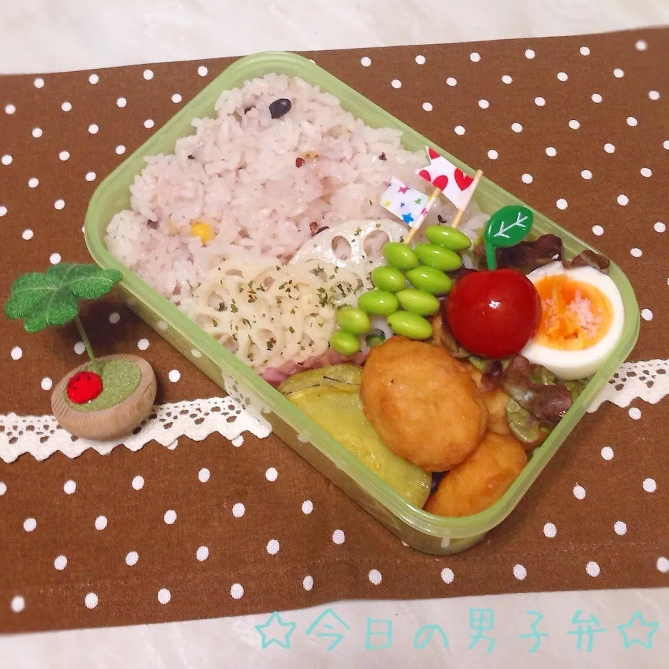 Snapdishの料理写真:高校生男子弁〜☆|りこもとさん