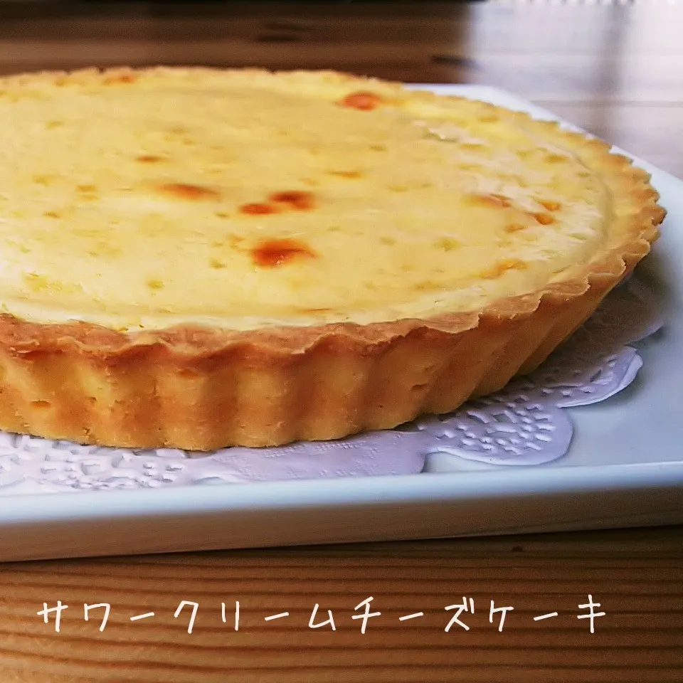 ＊サワークリーム＊チーズケーキタルト＊3時のおやつ|薪clubさん