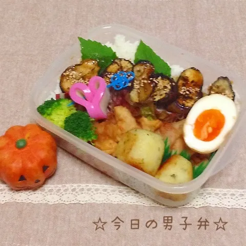 Snapdishの料理写真:高校生男子弁☆|りこもとさん