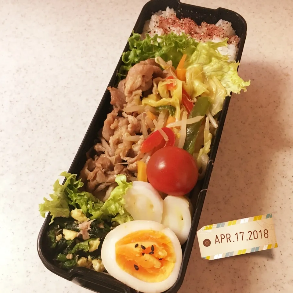 Snapdishの料理写真:高2長男弁当！|がおりんさん