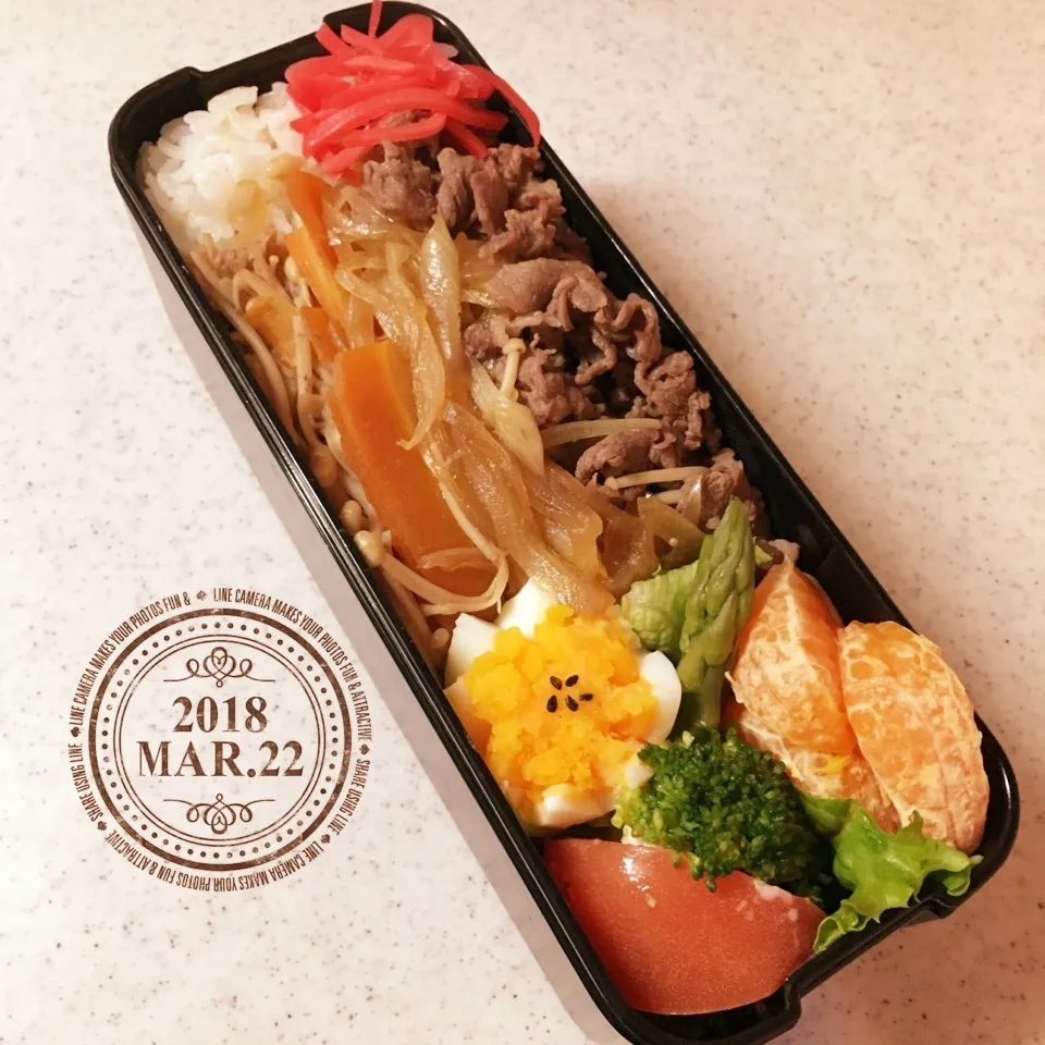 牛丼弁当！|がおりんさん