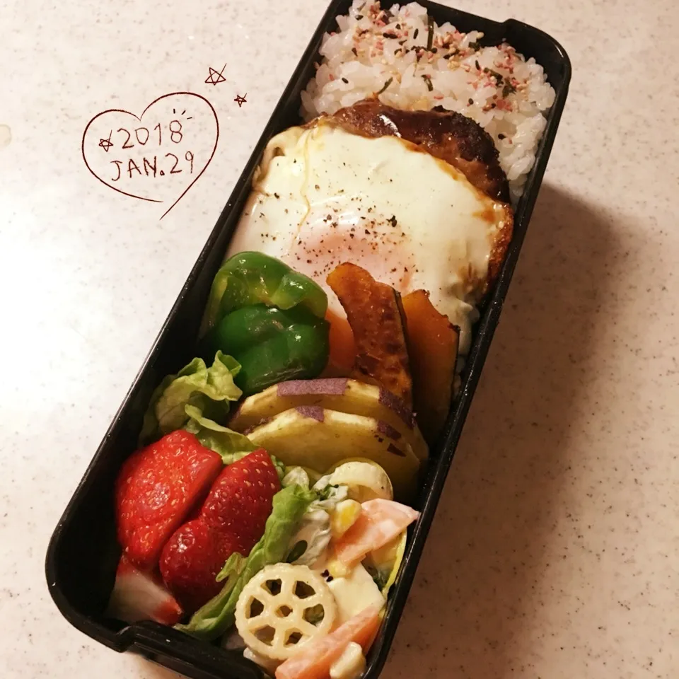 Snapdishの料理写真:ハンバーグ弁当！|がおりんさん