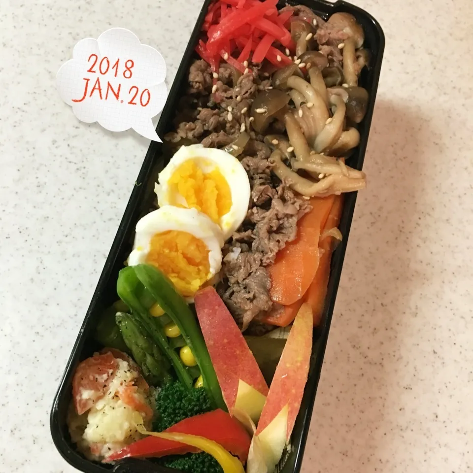 Snapdishの料理写真:牛丼弁当！|がおりんさん