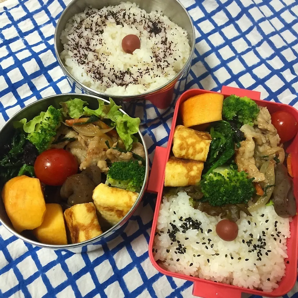 Snapdishの料理写真:焼肉弁当(息子・娘用)|かずぴょんさん