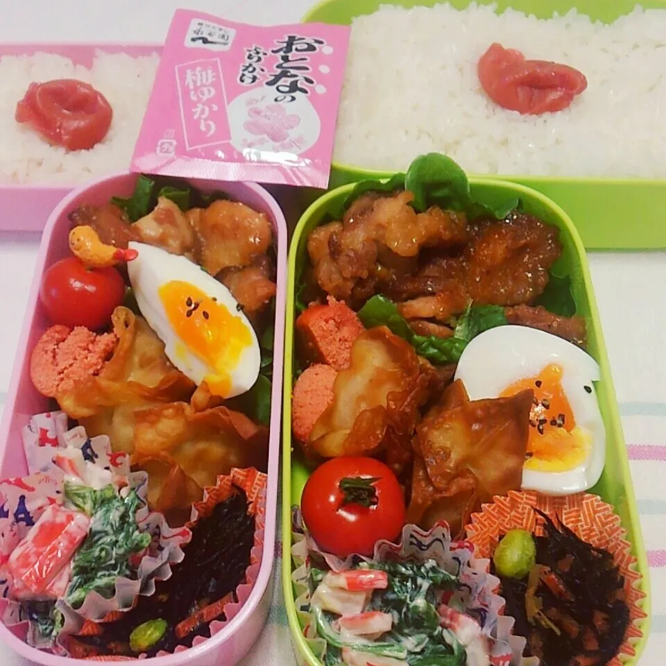 娘弁当💕俺様弁当💕(卒業)|Rie Naganoさん