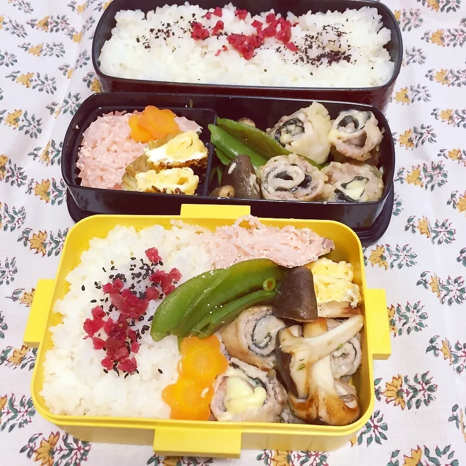 お弁当 2015/1/27|かずぴょんさん