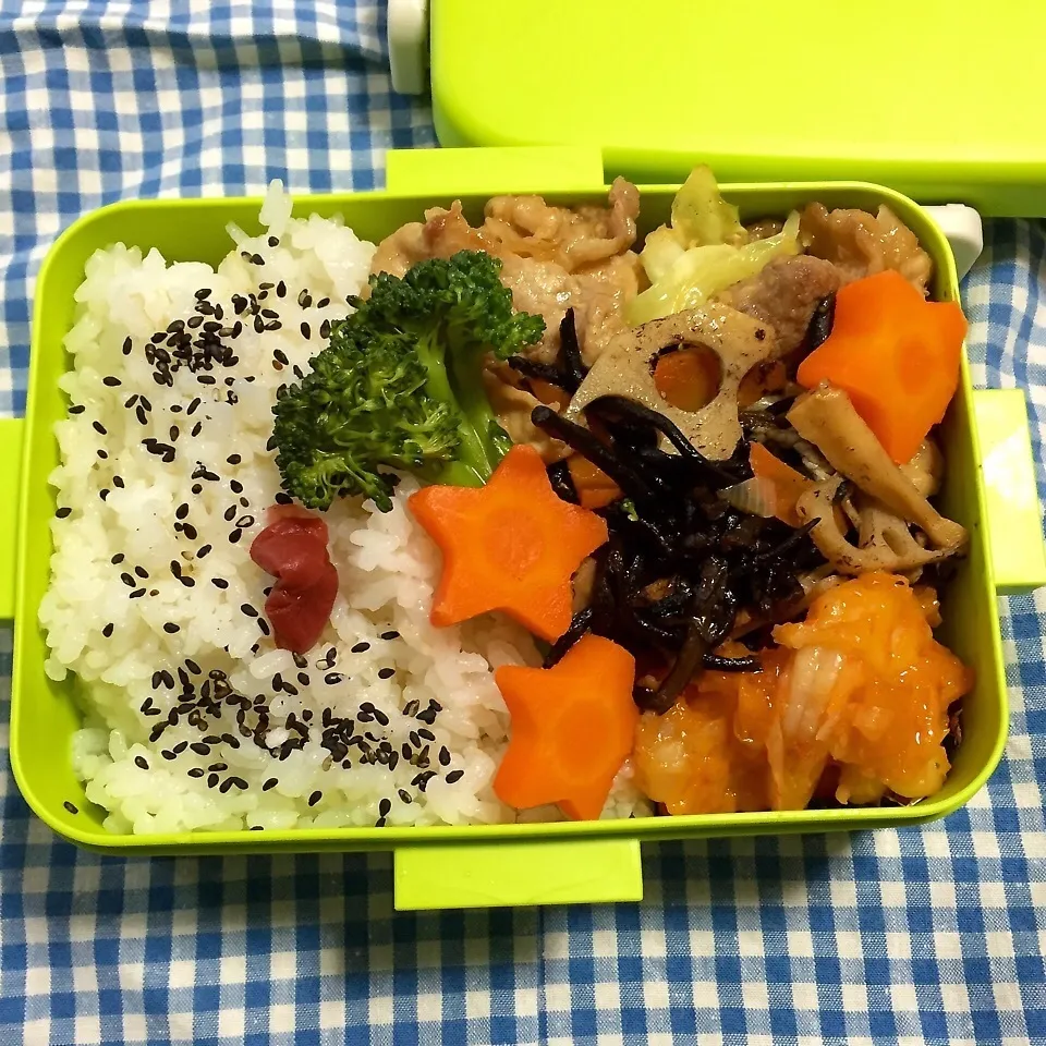 Snapdishの料理写真:お弁当 2014/12/19 金|かずぴょんさん