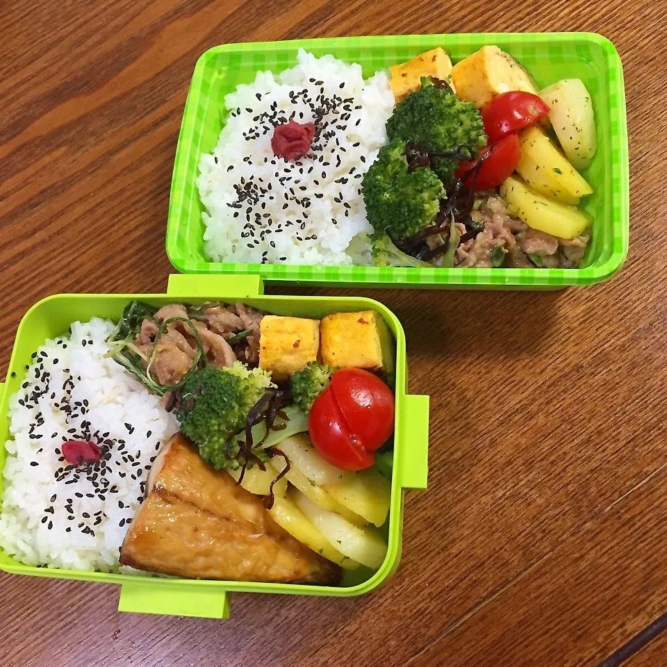 お弁当 11/21金|かずぴょんさん