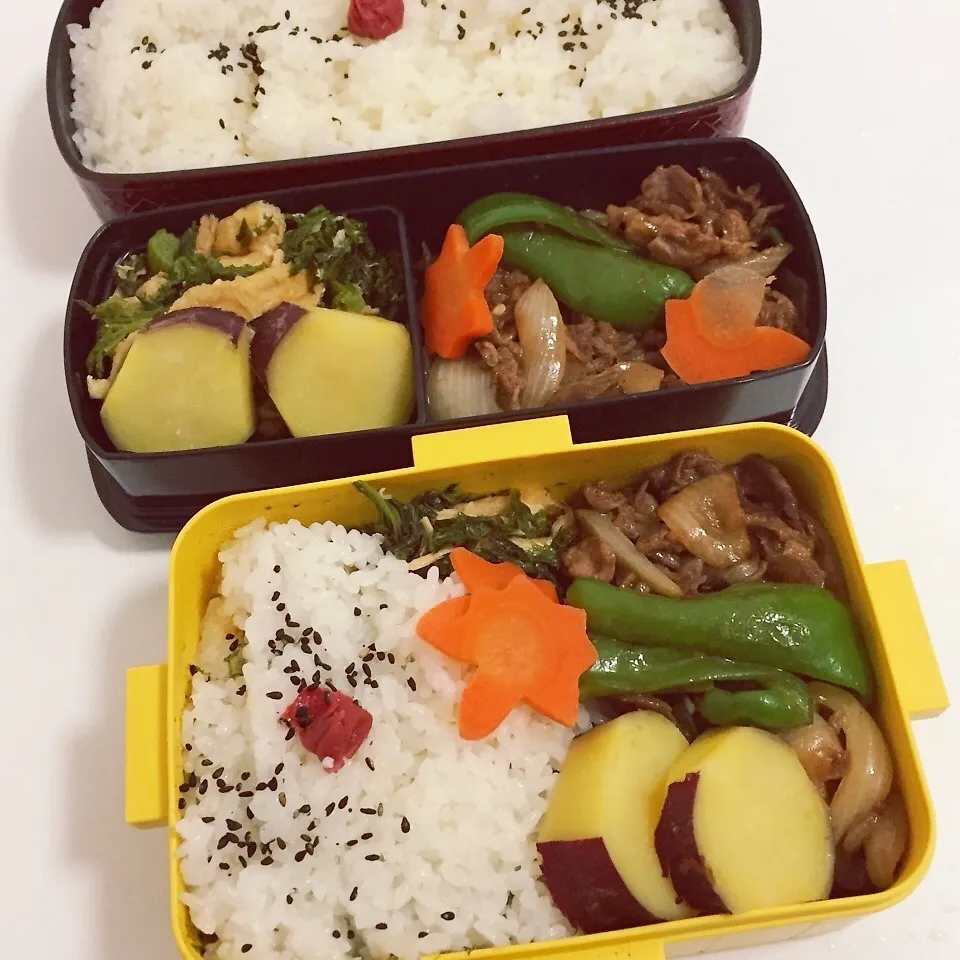 Snapdishの料理写真:お弁当 11/20水 晴れ|かずぴょんさん