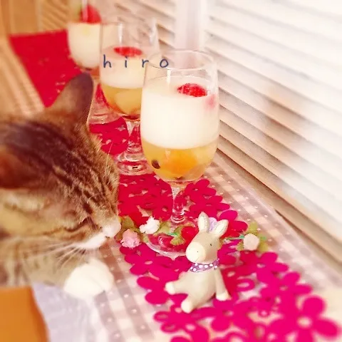 Snapdishの料理写真:❤︎フルーツ  たっぷりゼリー  ❤︎|ヒロさん