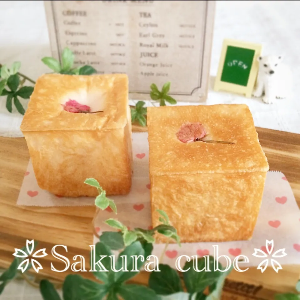 【チームcube】湯種de🌸桜餡cube🌸|*ark7*さん