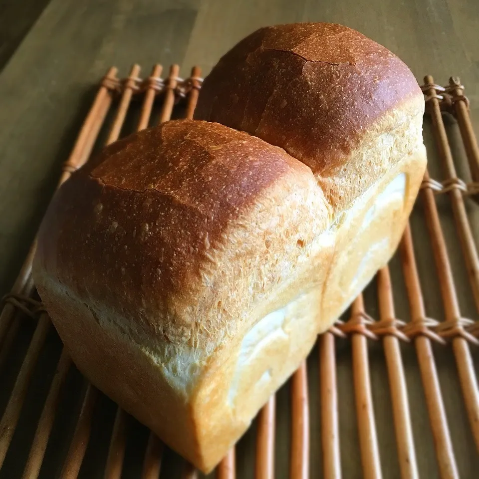 ぷらっとさんのパン・ド・ミ|9421beruさん