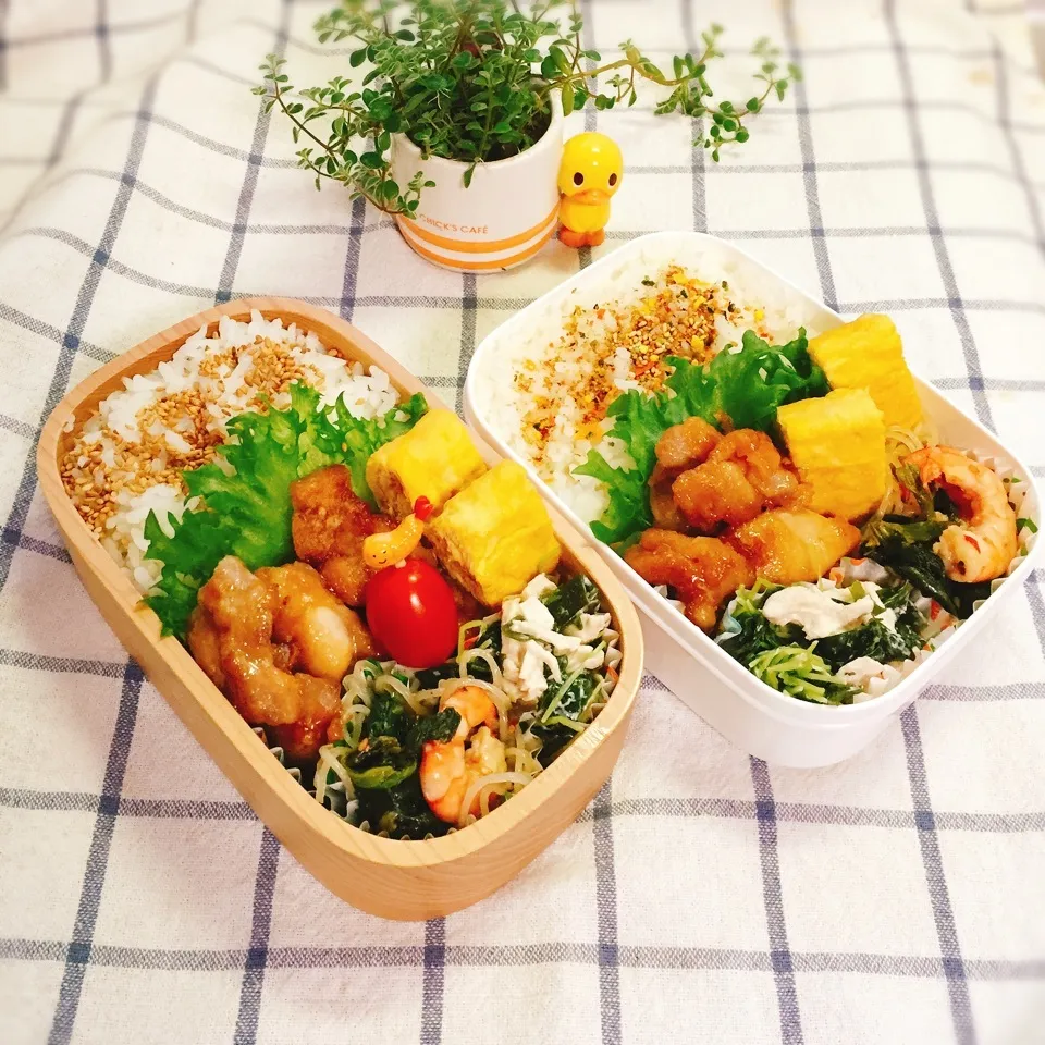 息子＆母お弁当♪|れもんてぃさん