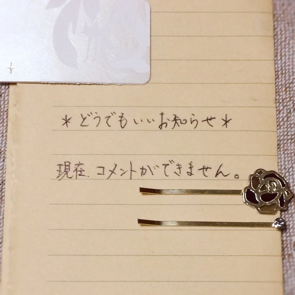 なーみにとっては一大事〜！ 妖怪のせい‥‥かな。|なーみさん