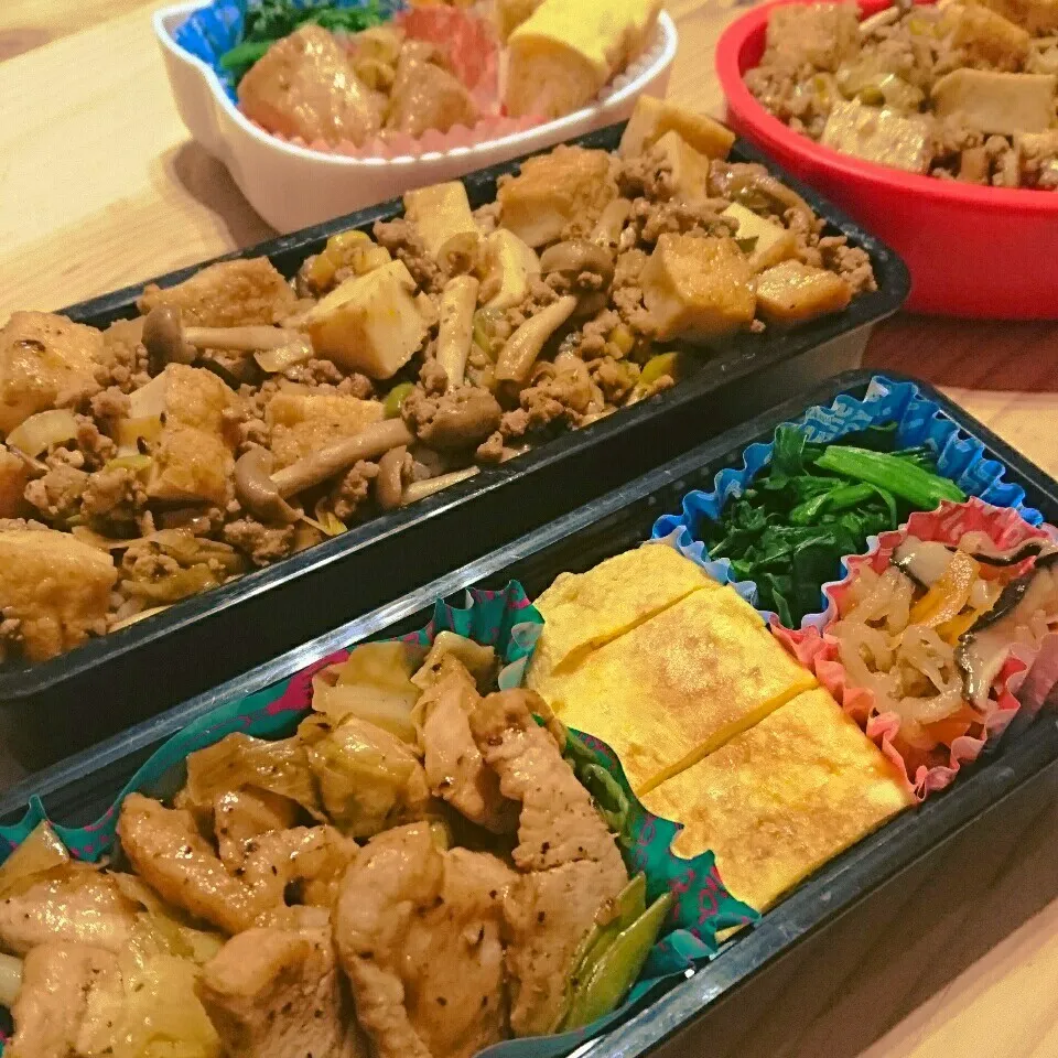 麻婆厚揚げ豆腐＆鶏肉回鍋肉弁当|あずきラテさん