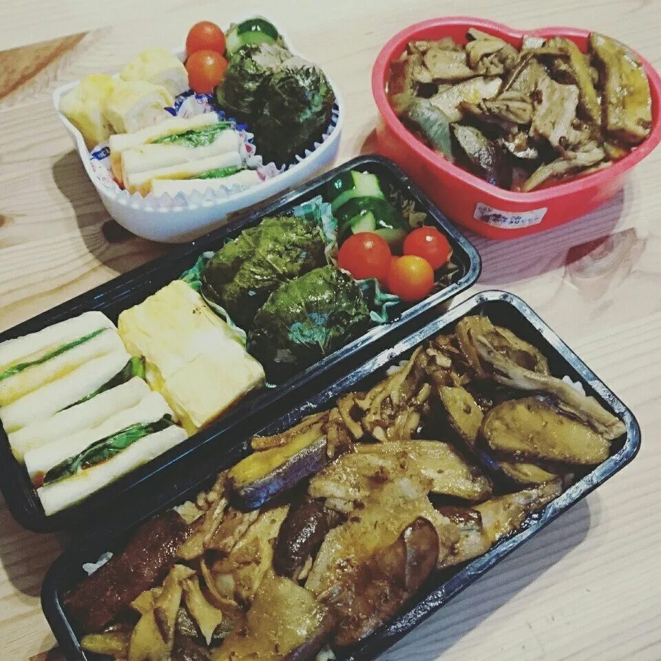 麻婆茄子丼＆しそバーグ弁当|あずきラテさん