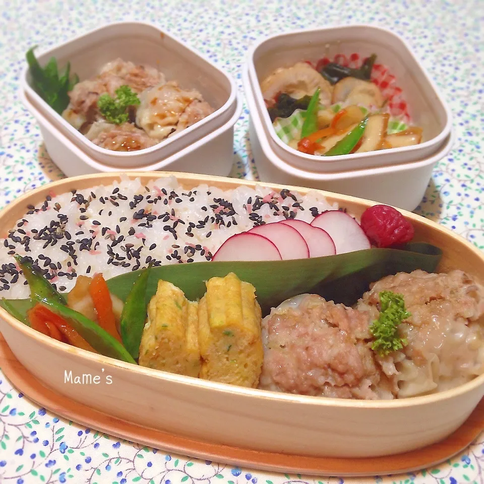 Snapdishの料理写真:2014.2.21  手作り焼売弁当♪|豆子さん