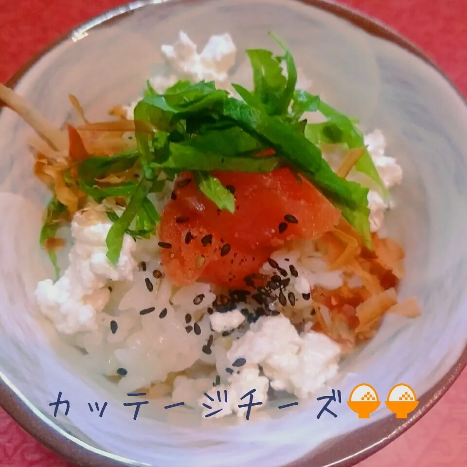 📍サラダだけじゃない！カッテージチーズ🍚ご飯|@きなこさん