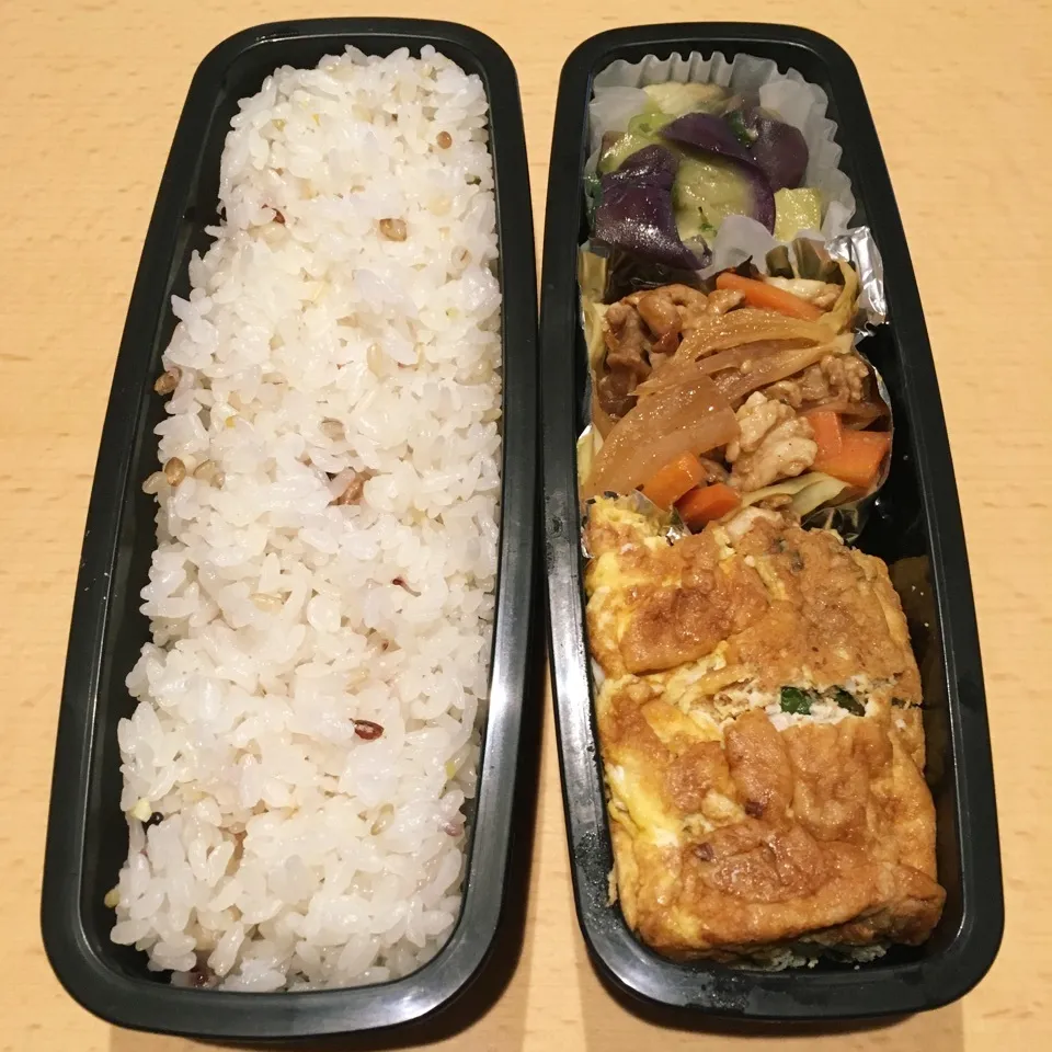 オット弁当0618|hisakoさん