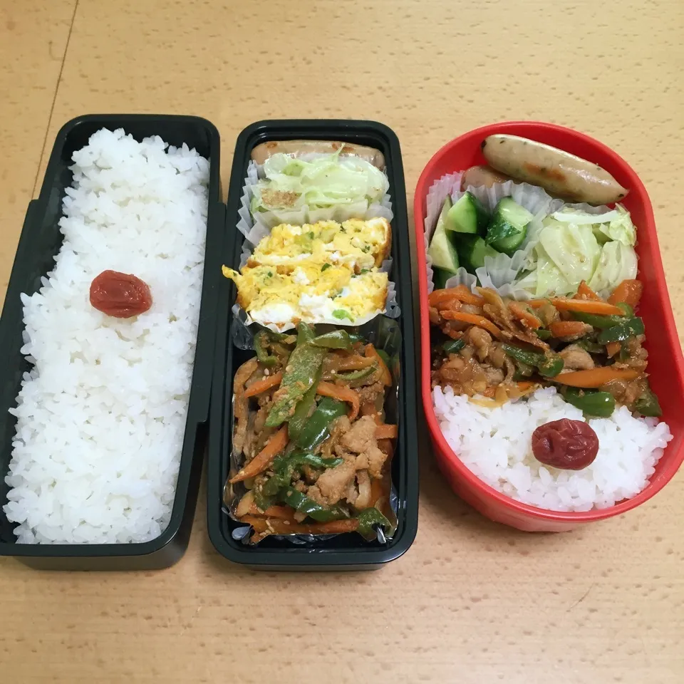 Snapdishの料理写真:お弁当0901|hisakoさん