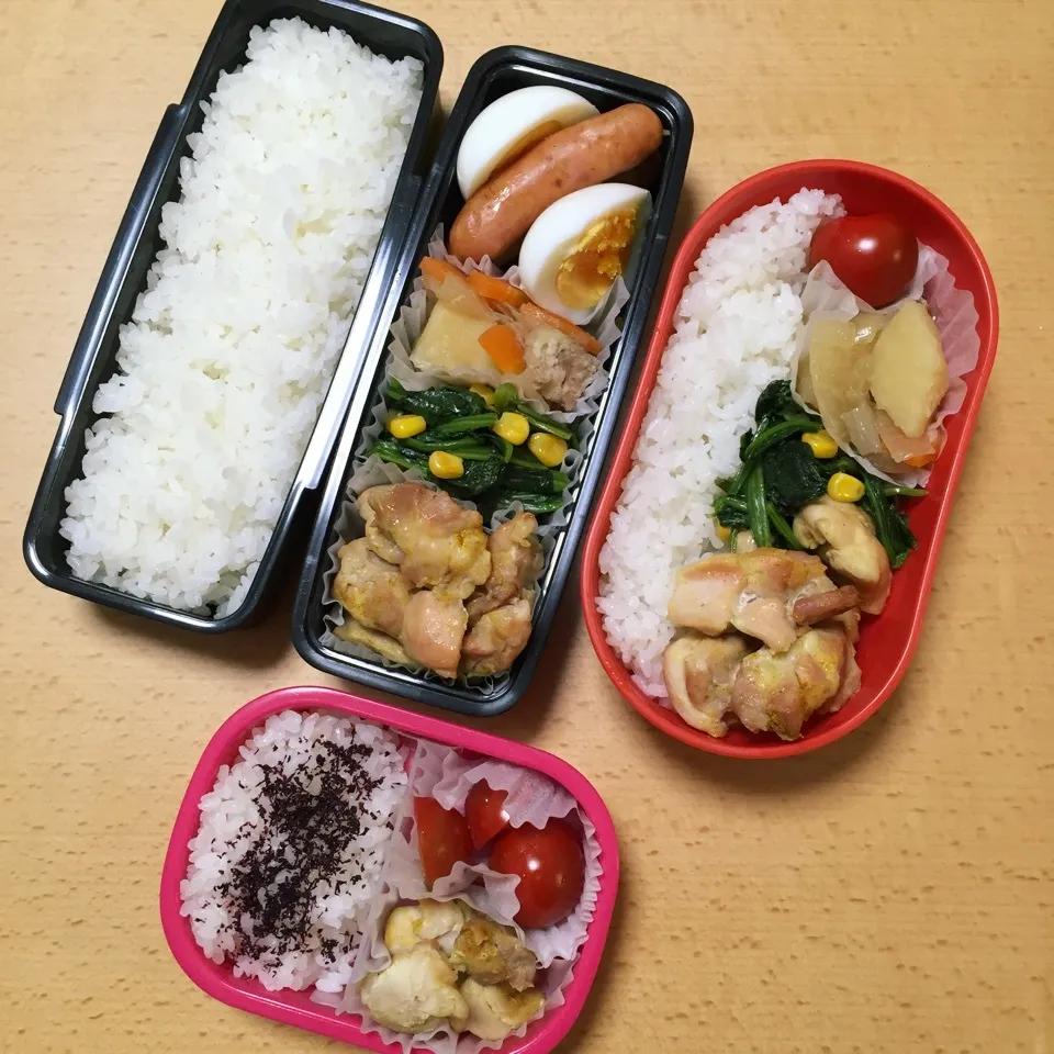 お弁当0608|hisakoさん