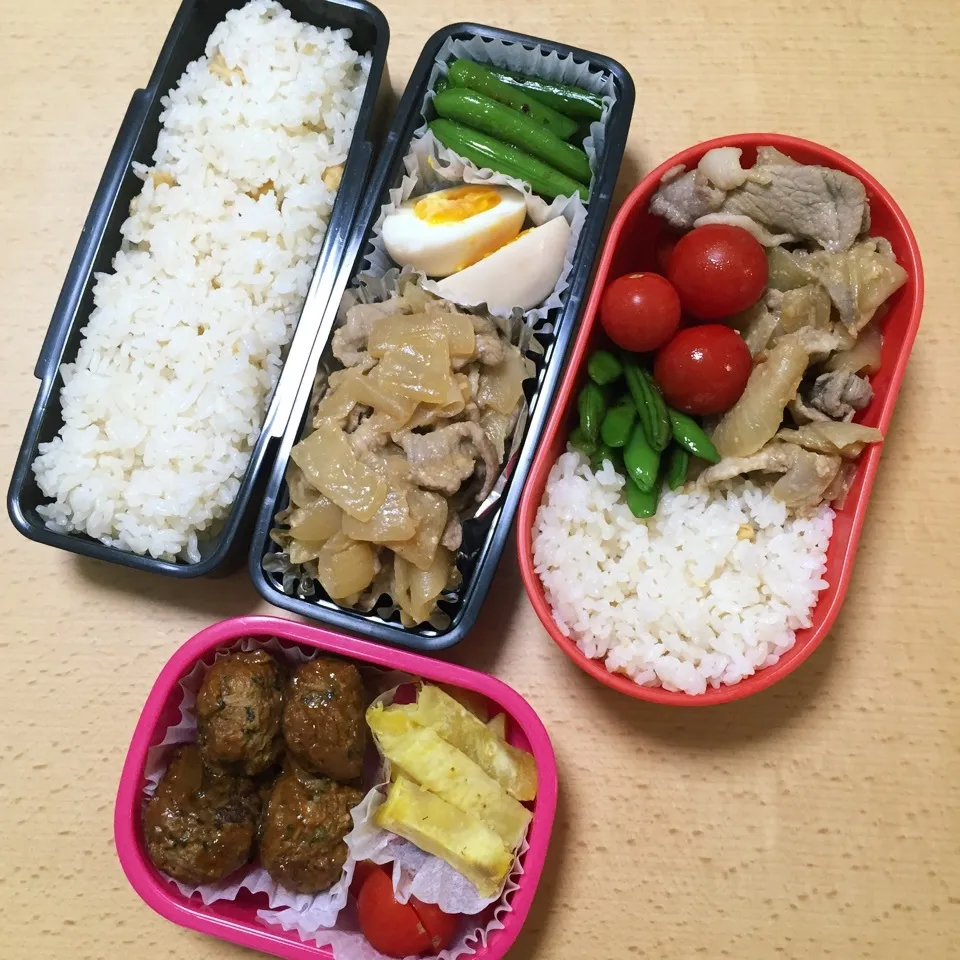 Snapdishの料理写真:お弁当0513|hisakoさん