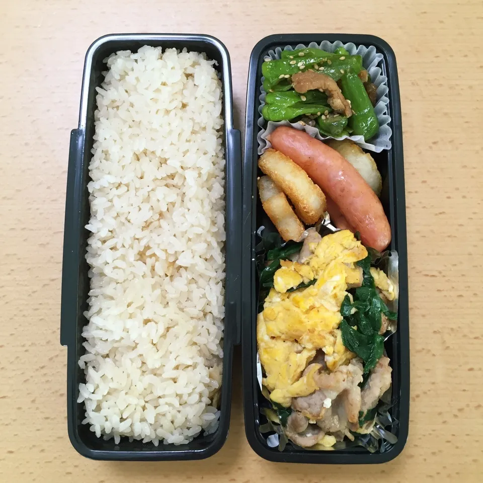 Snapdishの料理写真:オット弁当0315|hisakoさん