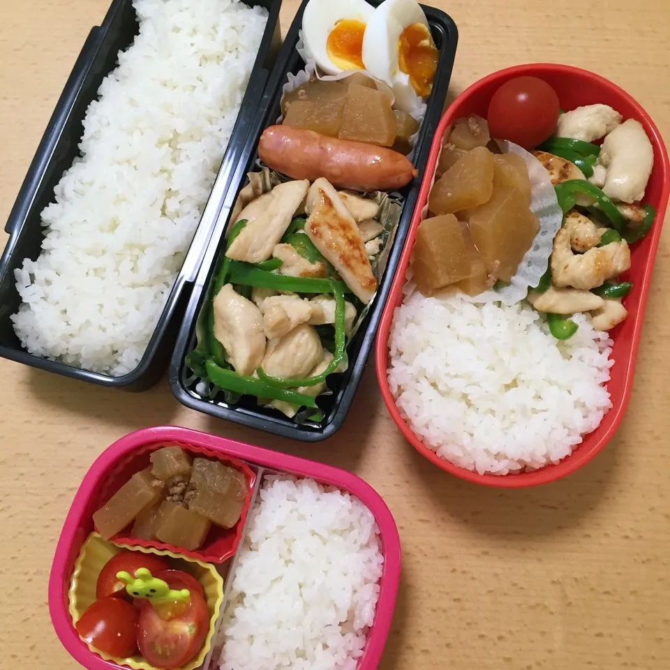 Snapdishの料理写真:家族弁当0310|hisakoさん