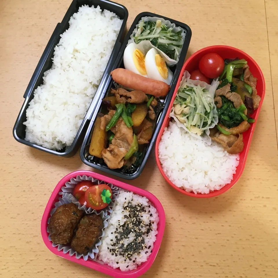 Snapdishの料理写真:家族弁当0309|hisakoさん