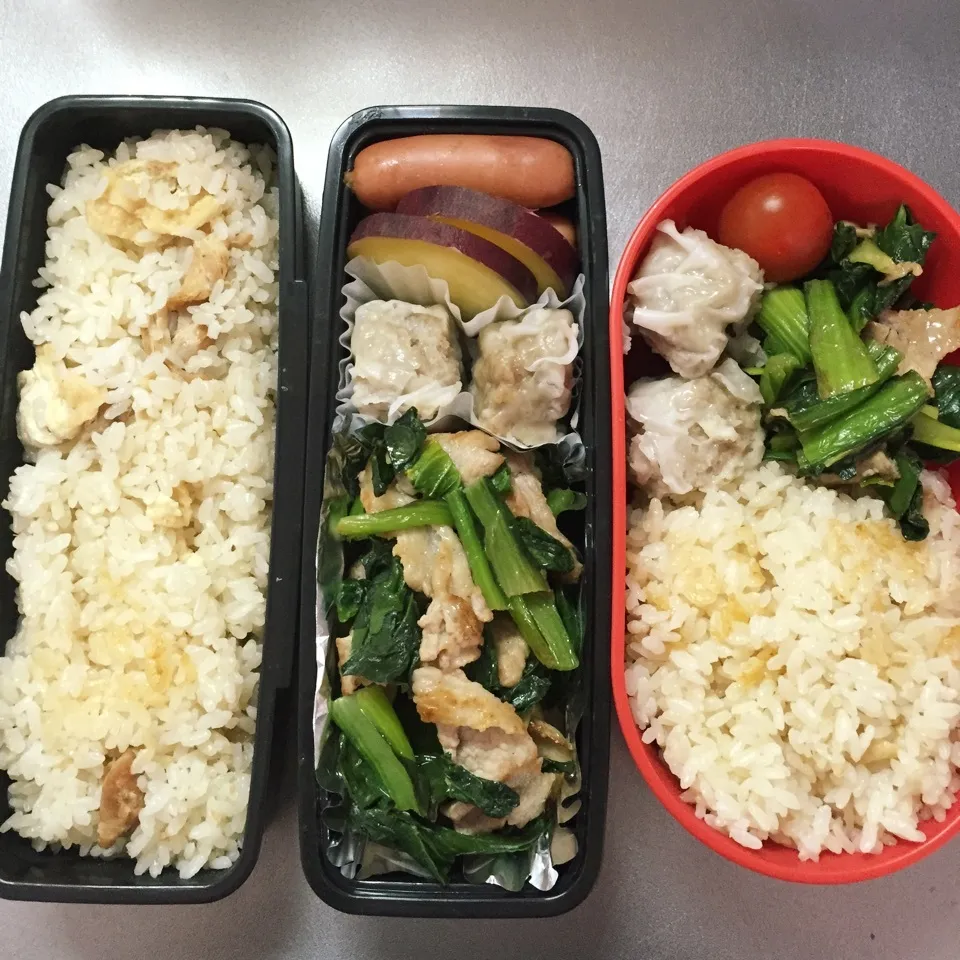 Snapdishの料理写真:オット&自分弁当0302|hisakoさん