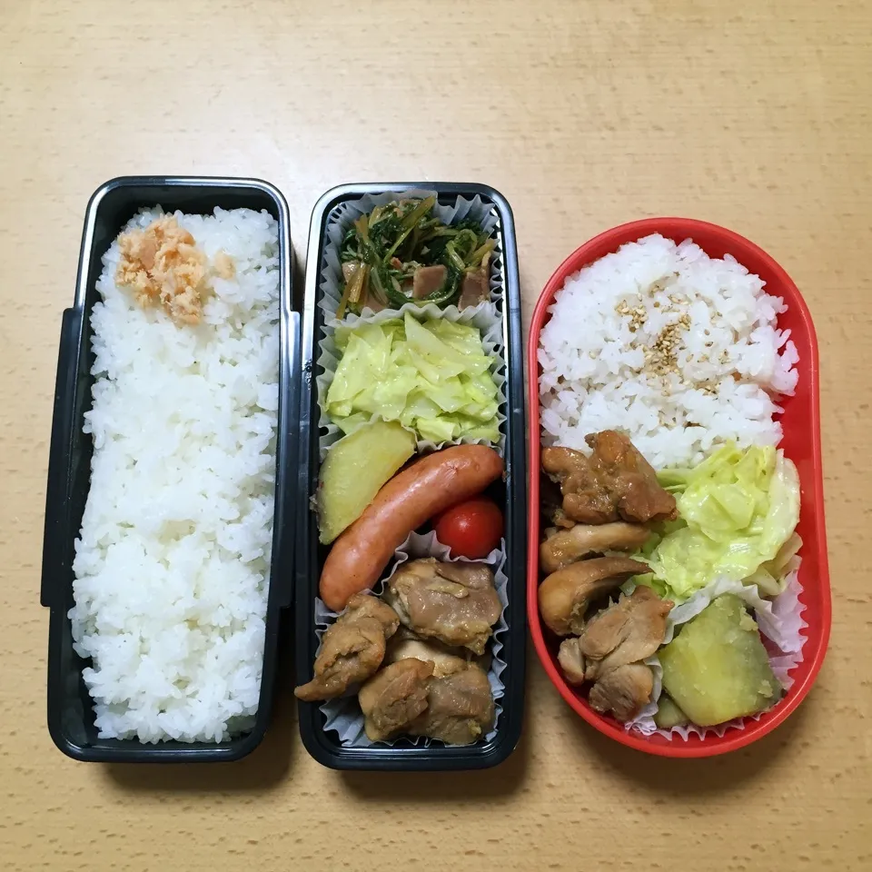 オット弁当&自分弁当0221|hisakoさん