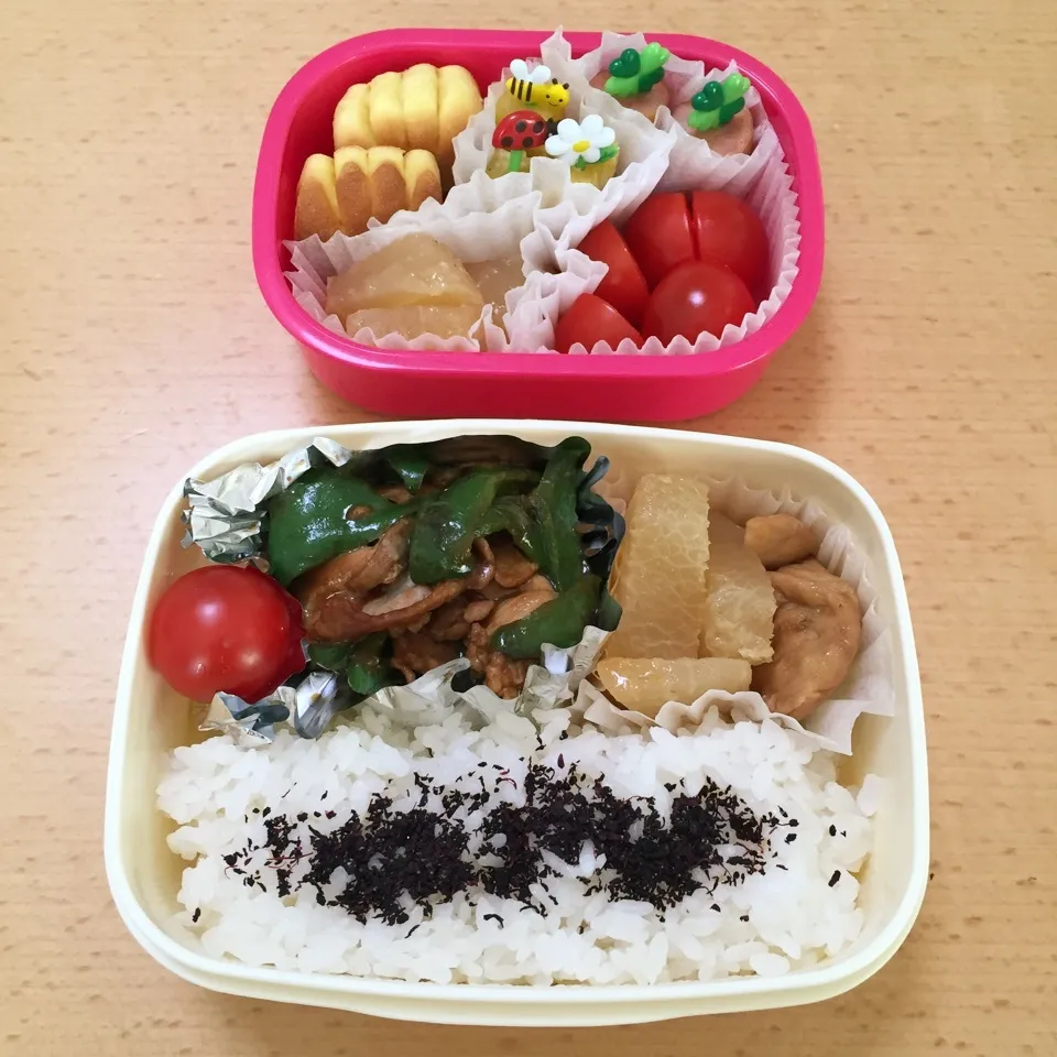 Snapdishの料理写真:お出かけ弁当1215|hisakoさん