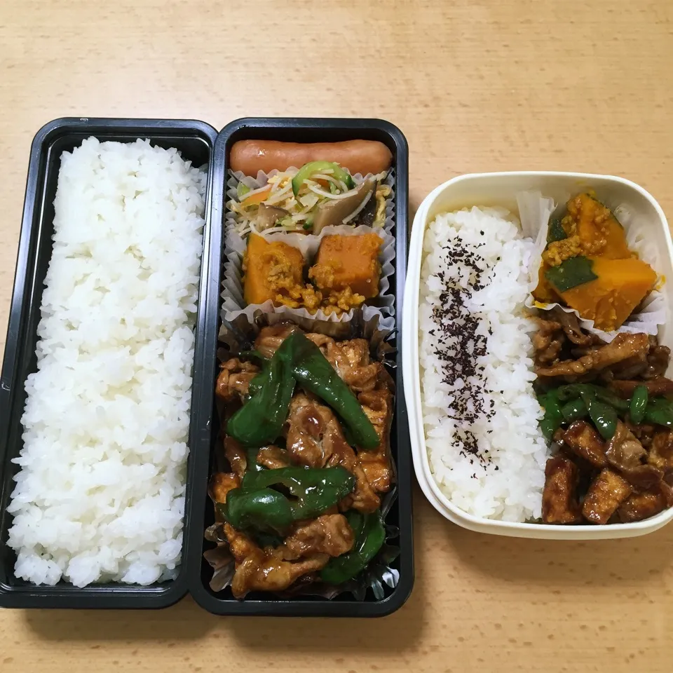 Snapdishの料理写真:オット弁当&自分弁当0607|hisakoさん