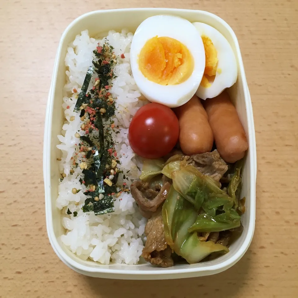 Snapdishの料理写真:自分弁当0523|hisakoさん