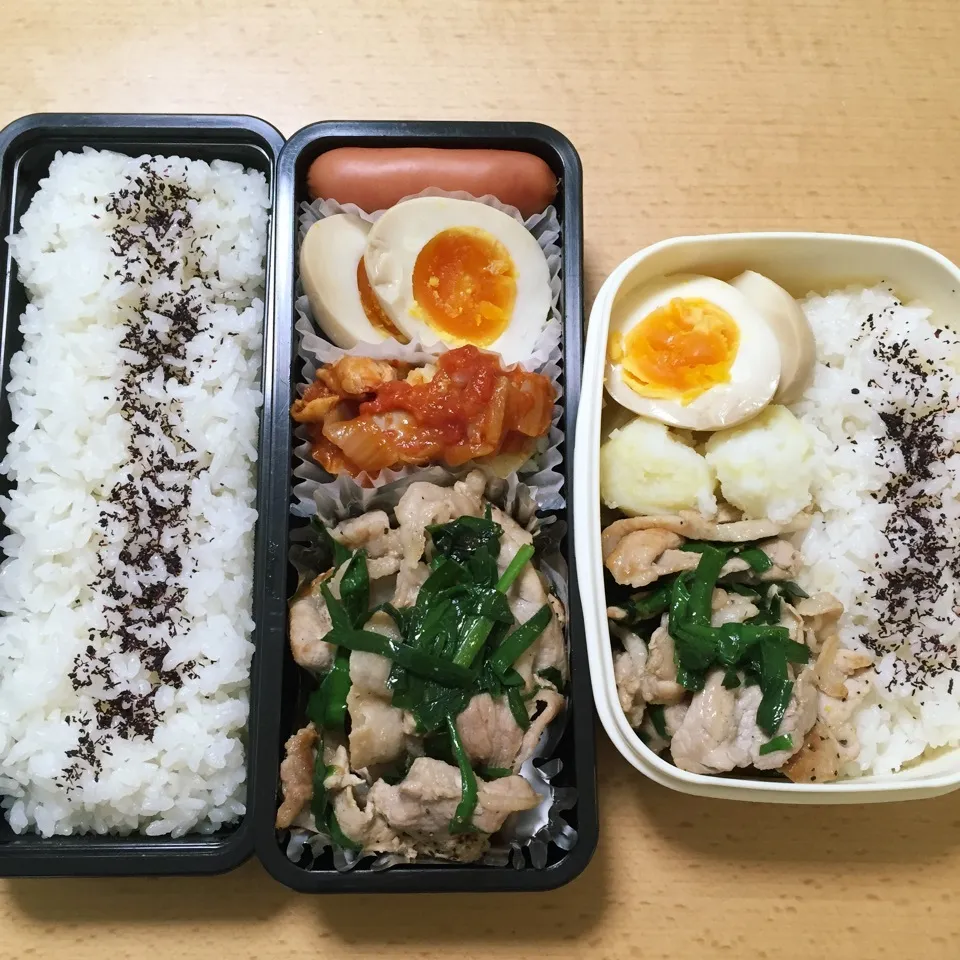 Snapdishの料理写真:オット弁当&自分弁当0510|hisakoさん