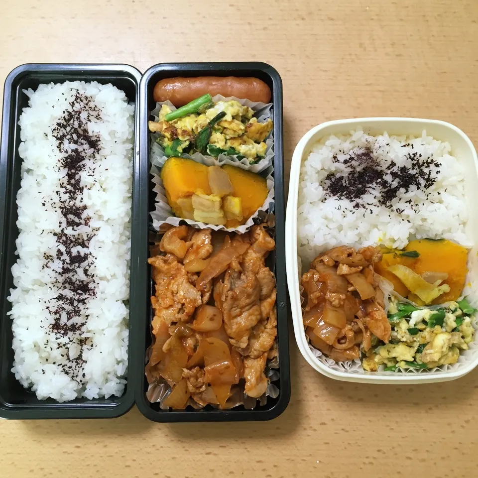 Snapdishの料理写真:オット弁当&自分弁当0317|hisakoさん