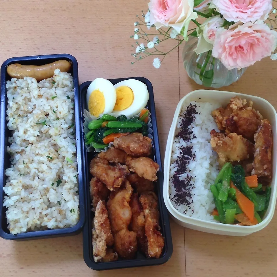 Snapdishの料理写真:オット弁当&自分弁当1105|hisakoさん