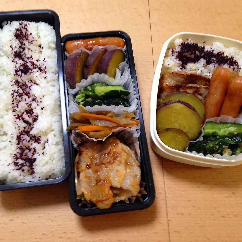 Snapdishの料理写真:オット弁当&自分弁当|hisakoさん